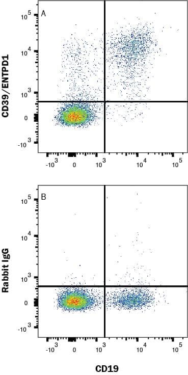 PBMCs were stained with Mouse Anti-Human CD19 PE‑conjugated Monoclonal Antibody (Catalog # FAB4867P) and either (A) Rabbit Anti-Human CD39/ENTPD1 Monoclonal Antibody (Catalog # MAB11582) or (B) isotype control antibody (Catalog # AB-105-C) followed by Allophycocyanin-conjugated Anti-Rabbit IgG Secondary Antibody (Catalog # F0111). View our protocol for Staining Membrane-associated Proteins. 