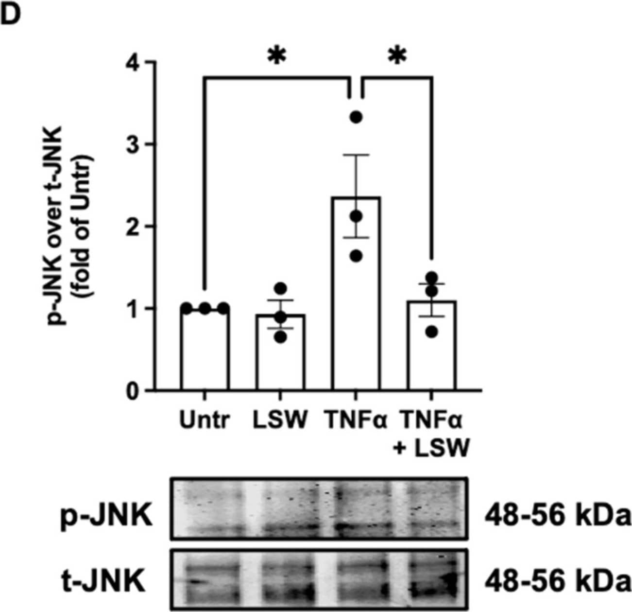 Effect of LSW treatment on TNF alpha -mediated NF-kappa B and p38/JNK signaling in EA.hy926 cells. The cells were treated with LSW (50 μM) for 18 h before TNF alpha  (10 ng/mL) stimulation for 15 min, followed by the detecting the protein expression of I kappa B alpha  (A), p65 (B), p38 (C), and JNK (D) by Western blotting. Protein bands of I kappa B alpha  were normalized to GAPDH; bands of the phosphorylated p65, p38, and JNK were normalized to their total forms. Data were normalized to the untreated group (Untr). *, p < 0.05; **, p < 0.01; ****, p < 0.0001, ns, not significant. Image collected and cropped by CiteAb from the following open publication (//pubmed.ncbi.nlm.nih.gov/36359987), licensed under a CC-BY license. Not internally tested by R&D Systems.