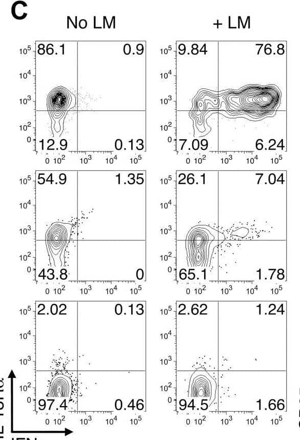 Memory but not exhausted T cells express IFN-gamma  and CD25 in response to LM infection. Cohorts of mice were challenged with wild-type LM 59-81 days following acute (LCMV-Arm), protracted (LCMV-cl13 infected B6 mice) and chronic (LCMV-cl13 infected CD4-/- mice) infections. Splenocytes were prepared 20 hr after the bacterial infection and cultured in the presence of BFA for 3hr prior to surface MHC tetramer staining and intracellular staining for IFN-gamma  accumulation. (A) Overview of the experimental design. (B) Representative flow cytometry plots show IL-18R alpha  expression and IFN-gamma  production by gated CD8 T cells are shown with and without LM infection. (C) IL-18R alpha  and (D) CD25 expression in conjunction with IFN-gamma  production are shown for gated LCMV DbGP33+ CD8 T cells. The percentages of (E) IFN-gamma -producing and (F) CD25-expressing IFN-gamma + LCMV Db(GP33) and Db(GP276) epitope-specific CD8 T cells are shown for individual mice, and mean values are indicated by the horizontal bars. (G) and (H) Bacterial titers in the spleens and livers, respectively, following LM challenge of the cohorts of mice that were previously infected with LCMV. Flow cytometry plots show representative data from either (B, C) three or (D) two independent experiments analyzing a total of 11-12 LM challenged mice per group. Graphs show results from (E) 4–5 experiments with 15-18 mice per group, from (F) two experiments with 6-8 mice per group, from (G) four experiments with 14-15 mice per group, and from (H) three experiments with 10–12 mice per group. *** p<0.001, ** p<0.01, * p<0.05. Image collected and cropped by CiteAb from the following open publication (//pubmed.ncbi.nlm.nih.gov/21980291), licensed under a CC-BY license. Not internally tested by R&D Systems.