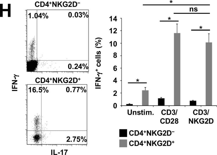 CD4+NKG2D+ T cells exert pro-migratory, cytolytic and pro-inflammatory properties.(A) Flow cytometry: The dot plot shows a representative example of NKG2D expression on CD3+CD4+CD8-CD56− T cells derived from the peripheral blood of a healthy donor (HD). The bar graph represents the mean frequency of CD4+NKG2D+ T cells in the peripheral blood of HDs (n = 20), stable RRMS (n = 15) and active RRMS patients (n = 14). (B–E) Mean fluorescence intensity (MFI) of different markers indicative for migratory capacity (B), activation (C), or cytolytic capacity (D, E) of CD4+NKG2D+ and CD4+NKG2D− T cells from the peripheral blood of HDs (n = 6) or active RRMS patients (n = 6). (F) Percentages of naive (CD45RA+CD62L+), T central memory (Tcm, CD45RA-CD62L+), T effector memory (Tem, CD45RA-CD62L−) and T effector memory RA (Tem-RA, CD45RA+CD62L-) cells in the CD4+NKG2D+ and CD4+NKG2D− T cell compartment assessed by flow cytometry (n = 6 HDs). (G) Carboxyfluorescein succinimidyl ester (CFSE) proliferation assays of CD4+NKG2D+ T cells and CD4+NKG2D− T cells under CD3/CD28, CD3/NKG2D, MOG35-55 (10 µg/ml or 100 µg/ml), MBP1-11 or PLP190-209 stimulation (n = 8 HDs). (H) Intracellular cytokine staining for IFN-gamma  and IL-17 of CD4+NKG2D+ and CD4+NKG2D− T cells derived from the peripheral blood of HDs (n = 7). The dot plots depict a representative example of IFN-gamma - and IL-17-positive cells upon CD3/CD28 stimulation. The bar graphs show the frequencies of IFN-gamma  or IL-17 positive cells of unstimulated, CD3/CD28- or CD3/NKG2D-stimulated cells. (I) Comparison of the proportions of IFN-gamma  or IL-17 positive CD3/CD28-stimulated CD4NKG2D+ T cells derived from frozen PBMCs of HDs (n = 6) or active RRMS patients (n = 6). *P < 0.05. ns, not significant; unstim., unstimulated. Image collected and cropped by CiteAb from the following open publication (//pubmed.ncbi.nlm.nih.gov/24282598), licensed under a CC-BY license. Not internally tested by R&D Systems.