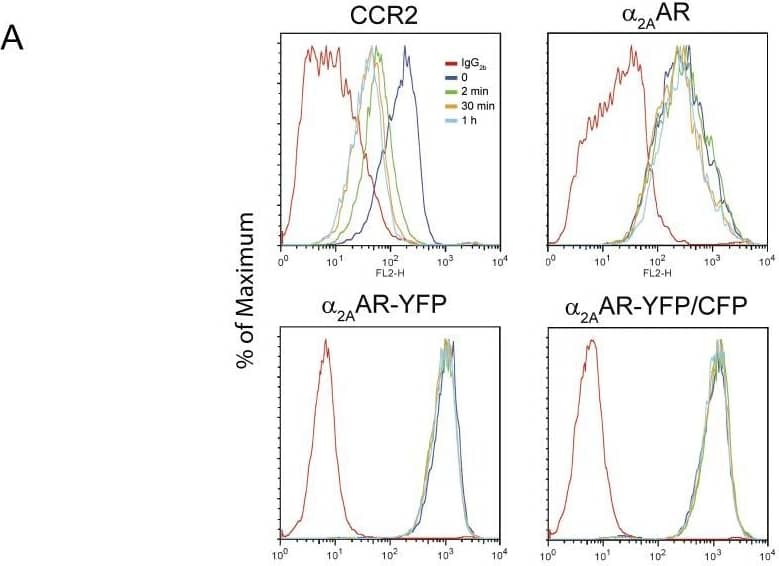 Flow Cytometry CCR2 Antibody (48607) [Unconjugated]