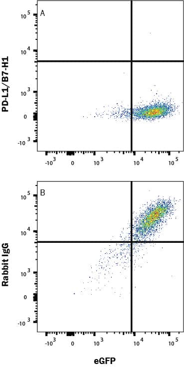 In a functional flow cytometry test, Recombinant Human PD-1 His-tagged protein (8986-PD, 500 ng/mL) binds to HEK293 human embryonic kidney cell line transfected with recombinant human PD-L1/B7-H1. (A) Binding is completely blocked by 2.5 µg/mL of Rabbit Anti-Human PD-L1/B7-H1 Monoclonal Antibody (MAB1562) but not by (B) Rabbit IgG Isotype Control (MAB1050). Ligand binding was detected by staining cells with Anti-His tag APC-conjugated Monoclonal Antibody (IC1050A).