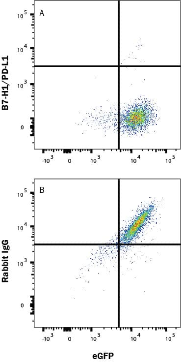 In a functional flow cytometry test, Recombinant Human PD-1 Fc Chimera Alexa Fluor® 647 protein (AFR1086, 500 ng/mL) binds to HEK293 human embryonic kidney cell line transfected with recombinant human PD-L1/B7-H1. (A) Binding is completely blocked by 25 µg/mL of Rabbit Anti-Human PD-L1/B7-H1 Monoclonal Antibody (Catalog # MAB1562) but not by (B) Rabbit IgG Isotype Control (MAB1050). View our protocol for Staining Membrane-associated Proteins. 