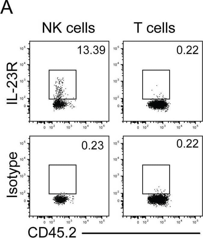 <b>Biological Strategies Validation. </b>Defect in IL-23p19 production by Syk-deficient kidney DCs underlies decreased NK cell GM-CSF-mediated control of C. albicans.(A) Representative staining of naïve control kidney NK cells (CD45.2+ NK1.1+ CD3−) and T cells (CD45.2+ CD3+) with anti-IL-23R vs. isotype-matched irrelevant specificity control. Image collected and cropped by CiteAb from the following open publication (//pubmed.ncbi.nlm.nih.gov/25033445), licensed under a CC-BY license. Not internally tested by R&D Systems.