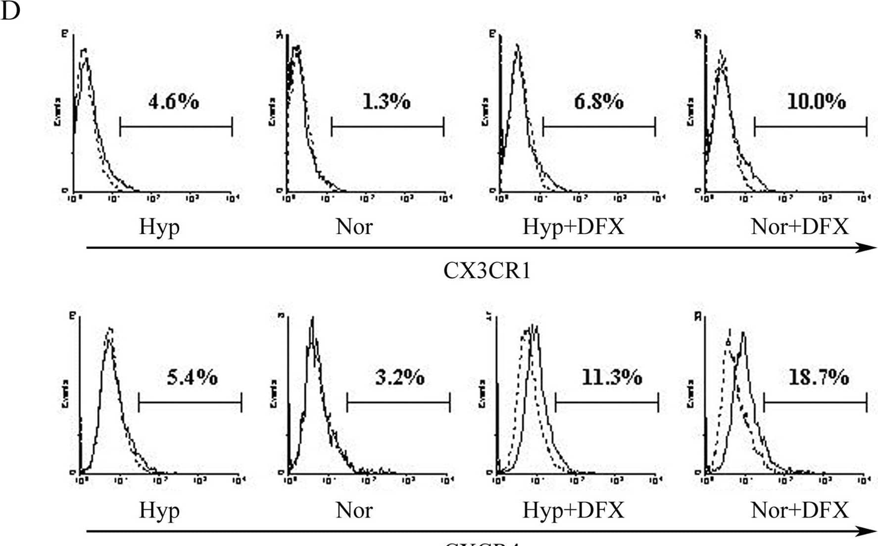 Effect of hypoxia on CX3CR1 and CXCR4 expression by early culture of MSCs.(A) The MSCs were cultured for 4–20 h in normoxic (Nor) or hypoxic (Hyp) conditions, as indicated. Total RNA was analyzed by RT-PCR for CX3CR1, CX3CR4, and b-actin mRNA expression. (B) Total RNA from MSCs cultured for 20 h in the presence of increasing concentrations of DFX was analyzed by RT-PCR for CX3CR1 and CXCR4 mRNA expression. (C) Quantitaive RT-PCR for CXCR4 and CX3CR1 mRNA expression at 20 h of treatment. The vertical axis represents the relative ratio of indicated condition to normoxic condition without the addition of DFX.. (D) Surface expression of CXCR4 and CX3CR1 were determined by flow cytometry using a mouse mAb anti-CXCR4 and a rat mAb anti-CX3CR1, respectively (continuous line). Irrelevant antibody is indicated by the dotted line. The results are representative of three independent experiments. (E) Hypoxia and DFX-treated MSCs were cultured for 24 h in the indicated conditions and analyzed by western blot for HIF-1 alpha , CXCR4, CX3CR1, and actin protein levels. (F) HIF-1 alpha  binding to the CX3CR1 promoter. The MSCs were cultured for 4 h in normoxic or hypoxic condition. ChIP was performed with or without rabbit antibody specific for HIF-1 alpha . There is no difference between PCR of the CX3CR1 promoter using input chromatin for normoxic and hypoxic cells. However, a band was noted for hypoxic cells but not for normoxic cells, when PCR of the CX3CR1 promoter was performed using immunoprecipitation with HIF-1 alpha  antibody. Image collected and cropped by CiteAb from the following open publication (//pubmed.ncbi.nlm.nih.gov/17476338), licensed under a CC-BY license. Not internally tested by R&D Systems.