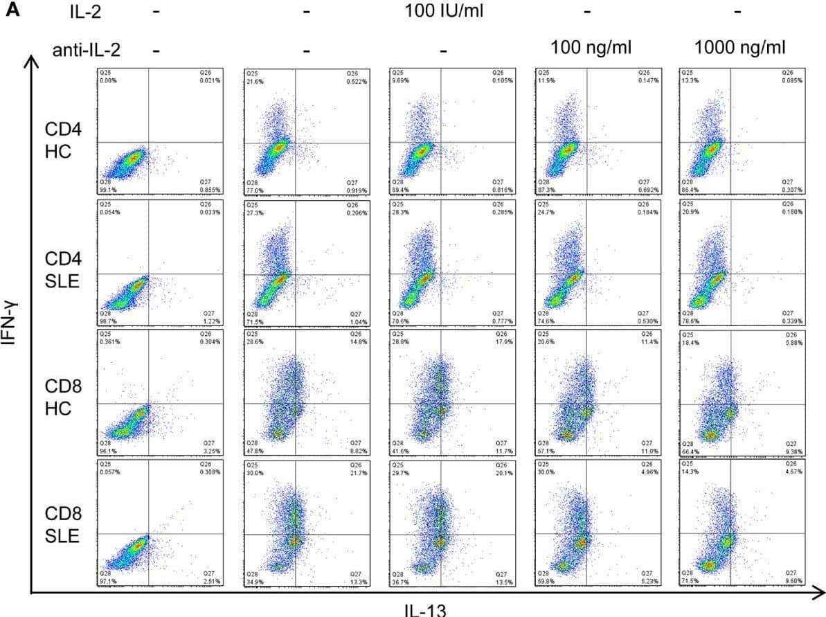IL-2 expands IL-13+IFN-gamma + CD8+ T cells in systemic lupus erythematosus (SLE). (A) CD4+ and CD8+ T cells from matched SLE and health control (HC) subjects were cultured as described in Figure 2, and IL-13 and IFN-gamma  expression was determined by flow cytometry. (B) Cumulative data of mean fluorescence intensity (MFI) of IFN-gamma  and the frequency of IFN-gamma + and IL-13+IFN-gamma + cells. Statistical analysis was made by two-way ANOVA followed by Bonferroni’s correction for multiple comparisons (*p<0.05, **p<0.01, ****p<0.0001). Image collected and cropped by CiteAb from the following open publication (//www.frontiersin.org/articles/10.3389/fimmu.2021.635531/full), licensed under a CC-BY license. Not internally tested by R&D Systems.