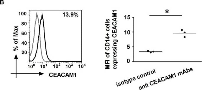 Analyses of CEACAM1 expression on CD14+ monocytes.(A) Monocytes were incubated with rabbit anti-CEACAM antibody A0115 (black histogram) or its IgG control (grey histogram) followed by secondary PE-conjugated anti-rabbit IgG and FITC-conjugated CD14 mAb. Dotted histogram represents secondary antibody only control. (B) Cells were also labelled with PE-conjugated anti-CEACAM1 mAb (R and D Systems MAb2244) (black histogram) or its isotype control (grey histogram) and FITC-conjugated CD14 mAb. Live CD14+ cells were analysed and the percentages of cells expressing CEACAM1 were found to be 7.2±5.1% using A0115 and 13.9±4.1% using MAb2244. The MFI plots of CEACAMs on CD14+ monocytes are shown on the right (*, P<0.05; **, P<0.01).The three dots in each case represent data from monocytes obtained from three donors. Note the differences in the values shown for the two antibodies could also be assigned to the experiments being performed using two different instruments (Canto II, University of Bristol and Calibur, Shandong University respectively) using different settings. Image collected and cropped by CiteAb from the following open publication (//pubmed.ncbi.nlm.nih.gov/24599281), licensed under a CC-BY license. Not internally tested by R&D Systems.