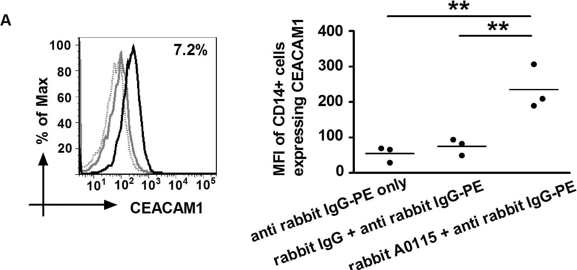Analyses of CEACAM1 expression on CD14+ monocytes.(A) Monocytes were incubated with rabbit anti-CEACAM antibody A0115 (black histogram) or its IgG control (grey histogram) followed by secondary PE-conjugated anti-rabbit IgG and FITC-conjugated CD14 mAb. Dotted histogram represents secondary antibody only control. (B) Cells were also labelled with PE-conjugated anti-CEACAM1 mAb (R and D Systems MAb2244) (black histogram) or its isotype control (grey histogram) and FITC-conjugated CD14 mAb. Live CD14+ cells were analysed and the percentages of cells expressing CEACAM1 were found to be 7.2±5.1% using A0115 and 13.9±4.1% using MAb2244. The MFI plots of CEACAMs on CD14+ monocytes are shown on the right (*, P<0.05; **, P<0.01).The three dots in each case represent data from monocytes obtained from three donors. Note the differences in the values shown for the two antibodies could also be assigned to the experiments being performed using two different instruments (Canto II, University of Bristol and Calibur, Shandong University respectively) using different settings. Image collected and cropped by CiteAb from the following open publication (//pubmed.ncbi.nlm.nih.gov/24599281), licensed under a CC-BY license. Not internally tested by R&D Systems.