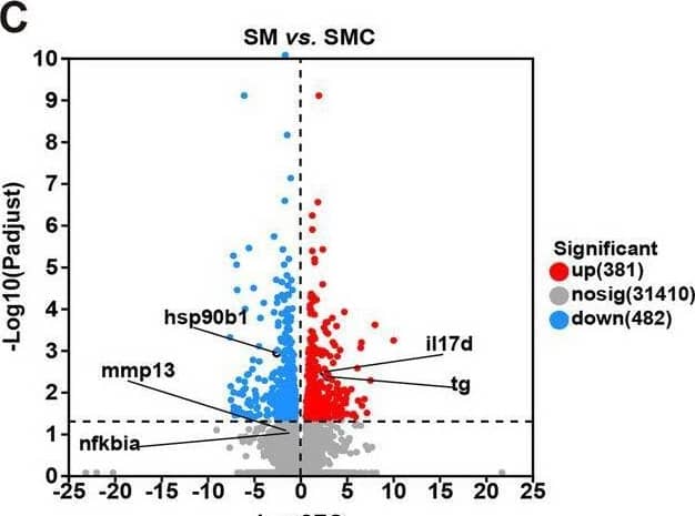 Flow Cytometry IL-17D Antibody (312724) [Unconjugated]