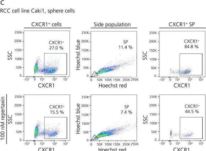 Flow Cytometry CXCR1/IL-8RA Antibody (42705) [Unconjugated]