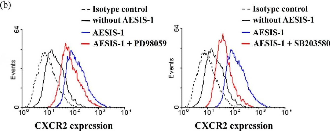 AESIS-1 enhances migration activities and CXCR2 expression through ERK and p38 MAPK signaling in HDF cells. Cells were treated with 20 ng/mL AESIS-1 for 24 h. MAPK inhibitors (ERK-PD98059, 10 μM; p38-SB203580, 10 μM; and JNK-SP600215, 20 μM) were added to cells 1 h before peptide treatment. (a) Transwell migration assay was performed using MAPK inhibitors and AESIS-1-treated HDF cells for 12 incubation hours with or without CXCL8 in lower chamber. Error bars, mean ± SD. One-way ANOVA with Turkey’s multiple comparisons test was used for statistical analysis. * p < 0.05, *** p < 0.001 (versus AESIS-1-treated group, with CXCL8-treated control); §§§ p < 0.001 (versus without AESIS-1-treated group, with CXCL8-treated group); ### p < 0.001 (versus without AESIS-1-, CXCL8-treated groups). (b) Surface protein expression of CXCR2 was measured with flow cytometric analysis after HDF cells were treated with AESIS-1 for 24 h with or without MAPK inhibitor pre-treatment. Image collected and cropped by CiteAb from the following open publication (//www.mdpi.com/1422-0067/25/7/3937), licensed under a CC-BY license. Not internally tested by R&D Systems.