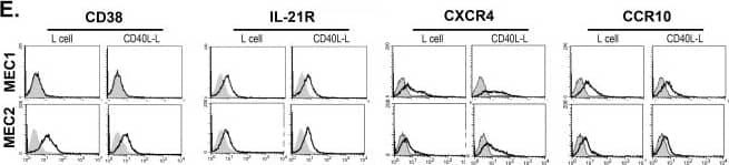 The effect of IL-21 and CD40L exposure on MEC1 and MEC2 cells.Expression of EBNA-2 and LMP-1 in IL-21 treated cells (A, B). (A) Simultaneous immunofluorescence staining of EBNA-2 (Green) and LMP-1 (Red); magnification (×100), scale bar 25 µm. Note the downregulation of EBNA-2 and upregultion of LMP-1 after IL-21 treatment. (B) Expression of EBNA-2, LMP-1 and Blimp-1 by immunoblotting; positive control: CBM1-Ral-STO, negative control: Ramos. 1.5×105 cells were loaded in the control lanes and 5×105 were loaded in both untreated and IL-21 treated MEC1 and MEC2 lanes. Note low expression of EBNA-2 and high expression of LMP-1 after IL-21 treatment and induction of Blimp-1 after IL-21 treatment. (C) Activity of the W and C promoters that regulate EBNA-2 expression and LMP-1 mRNA expression by Q-PCR. Note the difference in EBNA-2 regulation; the MEC2 cell uses both Wp and Cp while in MEC1 only Wp is active. (D) Expression of EBNA-2 and LMP-1 in cells exposed to CD40L. Simultaneous immunofluorescence staining; for details see (A). Note: EBNA-2 and LMP-1 are downregulated by CD40L in both lines. (E) CD40L induced modulation of surface marker by FACS analysis. Image collected and cropped by CiteAb from the following publication (//dx.plos.org/10.1371/journal.pone.0106008), licensed under a CC-BY license. Not internally tested by R&D Systems.