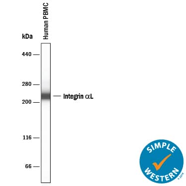 Simple Western Integrin alpha L/CD11a Antibody (345913) [Unconjugated]