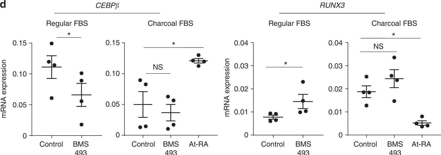 RA regulates CEBPb and RUNX3 expression and human langerin+ cell differentiation from blood monocytes. a Human LC differentiation from blood monocytes in regular vs. charcoal FBS. b At-RA promotes C/EBP beta + non-LC differentiation. c RA and RAR alpha  antagonists reciprocally regulate human LC differentiation. d Effects of At-RA and BMS493 on the expression of human CEBPb and RUNX3. Human blood CD14+ monocytes were cultured in GM-CSF and TGF-beta 1 for 5–7 days in media containing charcoal FBS except in panel A where regular FBS was also used. At-RA was used at 1 nM, and BMS493 and Ro4153 were used at 500 nM. Representative and combined data (n = 5–7) from at least 5 experiments are shown. *Significant differences from control by Mann–Whitney U test (p < 0.05, unpaired, 2-sided). Error bars are defined as s.e.m. Langerhans cells (LC) and langerin-expressing conventional dendritic cells are made from distinct progenitors and enriched in the distinct microenvironments of the skin. Here the authors show that these immune cells are regulated by RAR alpha  via simultaneous induction of LC-promoting Runx3 and repression of LC-inhibiting C/EBP beta  Image collected and cropped by CiteAb from the following open publication (//pubmed.ncbi.nlm.nih.gov/30254197), licensed under a CC-BY license. Not internally tested by R&D Systems.