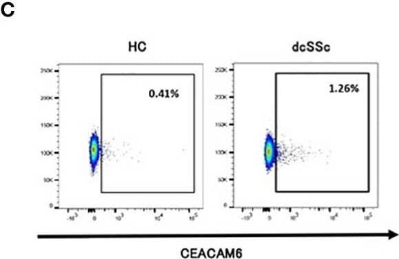 SSc serum induced CEACAM6 expression on classical monocytes. CD14+16- monocytes were isolated from a healthy donor and were treated with serum from HCs (n=7) and patients with systemic sclerosis (n=14) for 15 h. The proportion of CEACAM-positive classical monocytes from patients with SSc who provided serum was also analyzed. (A) Dot plots show the correlation between the proportion of CEACAM+ monocytes from a healthy donor treated with SSc serum and that from patients with SSc obtained at the same time as the serum. Statistical analysis was performed using Spearman’s rank correlation test. (B) The frequency of serum-induced CEACAM+CD14+16- monocytes was compared among HCs (n=7), inactive SSc (n=7), and active SSc (n=7). Each analysis was performed in duplicates. The left figure shows a histogram of CEACAM. (C, D) Data show the frequency of CEACAM1, 3, 5, and 6+ monocytes treated with serum from HCs or patients with dcSSc. Gating of CEACAM6+ monocytes is shown in (C) Data are presented as mean ± standard deviation (SD). P values were calculated using an unpaired t-test. *P < 0.05, ***P < 0.001. Image collected and cropped by CiteAb from the following open publication (//pubmed.ncbi.nlm.nih.gov/36341379), licensed under a CC-BY license. Not internally tested by R&D Systems.
