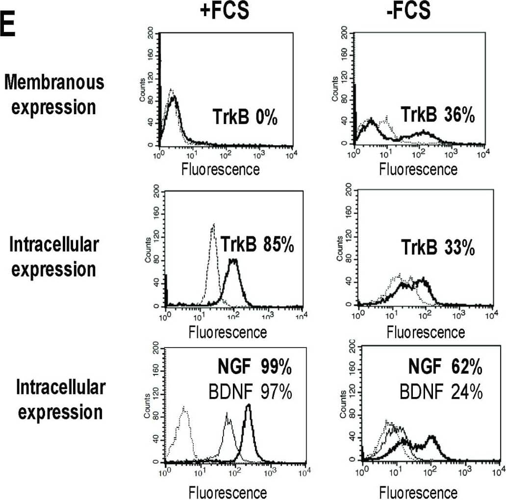 Flow Cytometry TrkB Antibody (72509) [Unconjugated]