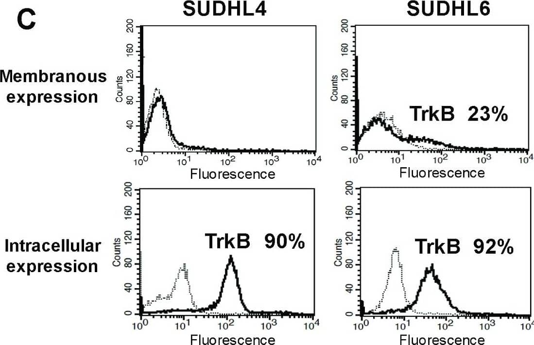 Flow Cytometry TrkB Antibody (72509) [Unconjugated]