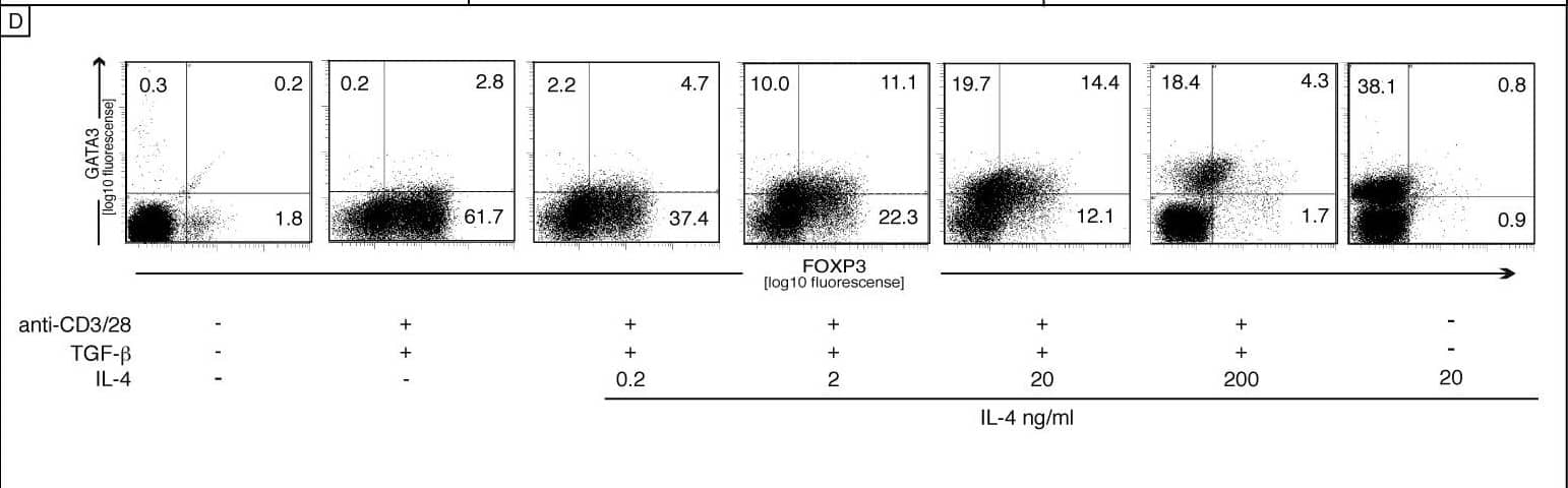 Effect of IL-4 on FOXP3 Induction(A) A statistical analysis was performed with six donors on day 5 (TGF-beta  (10 ng/ml) and with or without IL-4 (100 ng/ml)); Shown is the mean, and error bars indicated the SD of six donors. Statistical analysis was performed using the Dunnett test. Statistical significance is indicated by asterisks (*p ≤ 0.05, **p ≤ 0.01, Dunnett).(B) CD4+CD45RA+ cells were activated in the presence of a constant concentration of TGF-beta  (5 ng/ml) with an increasing concentration of IL-4, as indicated. Cells were harvested for mRNA quantification after 5 d.(C) CD4+CD45RA+ cells were stimulated in vitro with plate-bound anti-CD3/CD28, TGF-beta  (10ng/ml), and IL-4 (100 ng/ml) as indicated. After 1 h, cell lysates were prepared and analyzed by Western blot for phosphorylated SMAD2 and STAT6. Total STAT6 and GAPDH served as internal control.(D) Intracellular GATA3 and FOXP3 staining are shown after exposure of CD4+CD45RA+ T cells to IL-4 as described for panel B. Data are representative of three independent experiments. Image collected and cropped by CiteAb from the following open publication (//pubmed.ncbi.nlm.nih.gov/18162042), licensed under a CC-BY license. Not internally tested by R&D Systems.