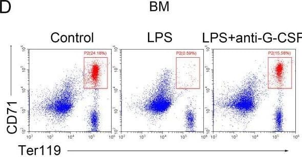 Flow Cytometry G-CSF Antibody (67604) [Unconjugated]