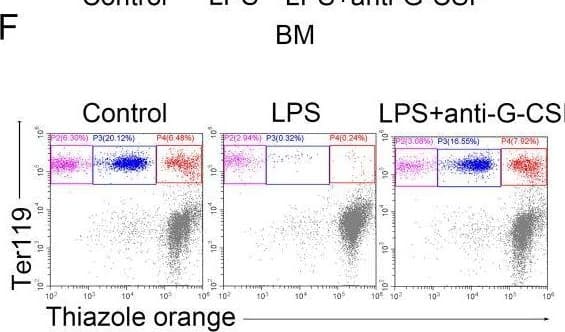 Flow Cytometry G-CSF Antibody (67604) [Unconjugated]