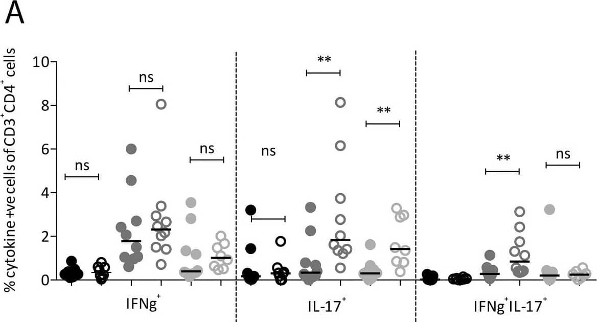 Immunogenicity and protective efficacy of BCG + CT – MVA85A.Balb/c mice received BCG±CT i.n. followed by 1×106 CFU MVA85A 10 weeks later. Lungs (A) and spleen (B) were taken at 10 (black circles), 11 (dark grey circles) and 14 (light grey circles) weeks post-BCG and cytokine-producing cells responding to an Ag85A peptide pool quantified using ICS. Responses from animals receiving BCG – MVA85A (closed circles) were compared with those receiving BCG + CT followed by MVA85A (open circles). Statistical analysis was performed using a Mann Whitney test. n = 10, five each from two experiments. (C) Balb/c mice were vaccinated as above. Control groups included unvaccinated and BCG i.d. A group receiving BCG i.n. was included to compare BCG – MVA85A i.n. to BCG i.n. Animals were exposed to ∼100 CFU M.tb via aerosol four weeks post-MVA85A. Four weeks post-challenge, lungs and spleen were homogenised and plated for CFU quantitation. (D) Balb/c mice were vaccinated and challenged as described above. Groups receiving BCG – MVA85A and BCG + CT – MVA85A received an anti-IL-17 blocking antibody (MAB421; R&D Systems) administered i.p. every three days post-challenge. One group receiving BCG – MVA85A received an IgG2a isotype control antibody (MAB006; R&D Systems) on the same regimen. Mice were culled four weeks post-challenge and lung CFU quantitated as described above. Statistical analysis was performed using a one way ANOVA and post-hoc tests on the vaccinated groups (n = 8–16). Image collected and cropped by CiteAb from the following open publication (//pubmed.ncbi.nlm.nih.gov/24194918), licensed under a CC-BY license. Not internally tested by R&D Systems.