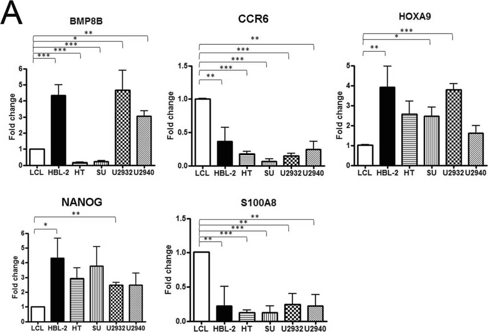 Quantitative PCR and immunoblotting of five candidate gene products in DLBCL and LCL lines. (A) Reverse transcriptase and real-time PCR analysis of mRNAs for BMP8A, CCR6, HOXA9, NANOG and S100A8 in LCL and DLBCL (HBL-2, HT, SU-DHL-5, U2932 and U2940) cell lines. Data were normalized by the amount of GAPDH mRNA, expressed relative to the corresponding value for LCL, and are shown as means ± SD from triplicate data. (B) After quantification of Western blot intensity, the relative expression levels of each protein are shown with normalization of GAPDH. U2940 cells have the highest expression of the stem cell genes, HOXA9 and NANOG. Molecular weight listed in parenthesis. Error bars represent the standard error of the mean of three independent experiments. *p < 0.05, **p < 0.01, ***p < 0.001, Student t-test. Image collected and cropped by CiteAb from the following open publication (//pubmed.ncbi.nlm.nih.gov/33288848), licensed under a CC-BY license. Not internally tested by R&D Systems.