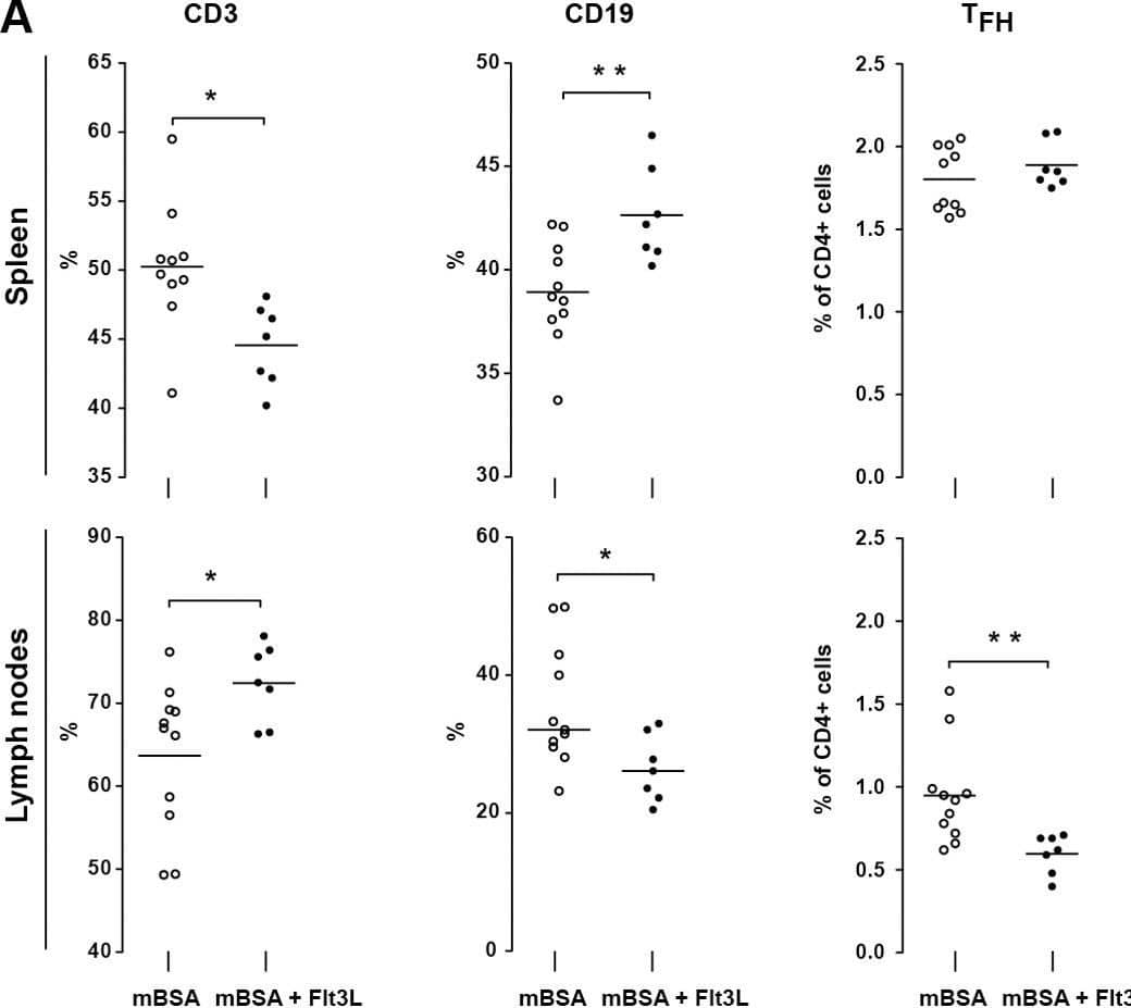 Flt3L induced changes in splenic and nodal lymphocyte populationsduring mBSA arthritis.A) Frequency of CD3+, CD19+ and TFH (within the CD4+ population) cells in the spleen and draining lymph nodes at day 28. B) Proliferative response of isolated splenocytes following in vitro stimulation with mBSA (25 μg/ml), LPS (10 μg/ml) or anti-CD3 (1 μg/ml). Results are presented as fold increase compared to non-stimulated cells. Data are presented as mean ± SEM and statistical significance was assessed using unpaired t-test. *P<.05, **P<.01. Image collected and cropped by CiteAb from the following open publication (//pubmed.ncbi.nlm.nih.gov/23349985), licensed under a CC-BY license. Not internally tested by R&D Systems.