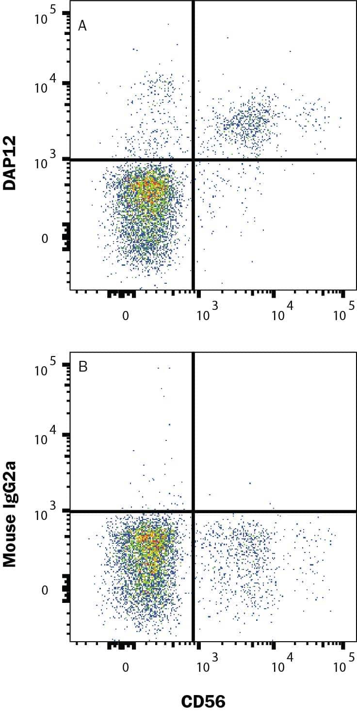 Intracellular Staining by Flow Cytometry DAP12 Antibody (406209) [Unconjugated]