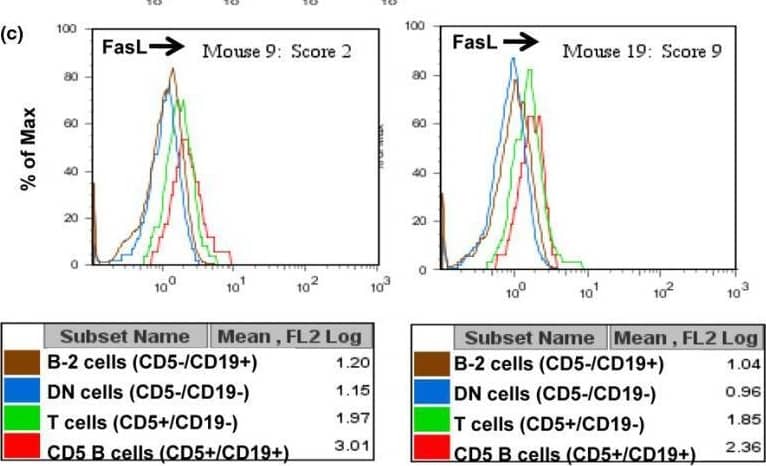 CD5+ B cells express higher levels of Fas ligand (FasL) than other splenic populations. Freshly isolated splenocytes from type II collagen/complete Freund's adjuvant (cII/CFA)-immunized, cII T-cell receptor transgenic mice were stained with anti-CD19, anti-CD5, and anti-FasL antibodies as described in Materials and methods. (a) Cells were initially gated as small nongranular lymphocytes by forward scatter and side scatter criteria (not shown) and then categorized by staining with anti-CD19 and anti-CD5 as T cells (CD5hi/CD19-), CD5+ B cells (CD5+/CD19+), B-2 cells (CD5-/CD19+), or double-negatives. (b) Comparison of FasL expression on CD5+ B cells from four mice, with representative disease severity scores shown in parentheses. Numbers in the box are mean fluorescence intensity (MFI) values of FasL staining on CD5+ B cells from the four mice. (c) Histograms and MFI values compared for lymphocyte subsets of two representative mice. (d) Average MFI values of FasL expression on gated splenic lymphocytes from mice with severe (n = 6), moderate (n = 6), and mild or no arthritis (n = 6). Image collected and cropped by CiteAb from the following open publication (//pubmed.ncbi.nlm.nih.gov/19706160), licensed under a CC-BY license. Not internally tested by R&D Systems.