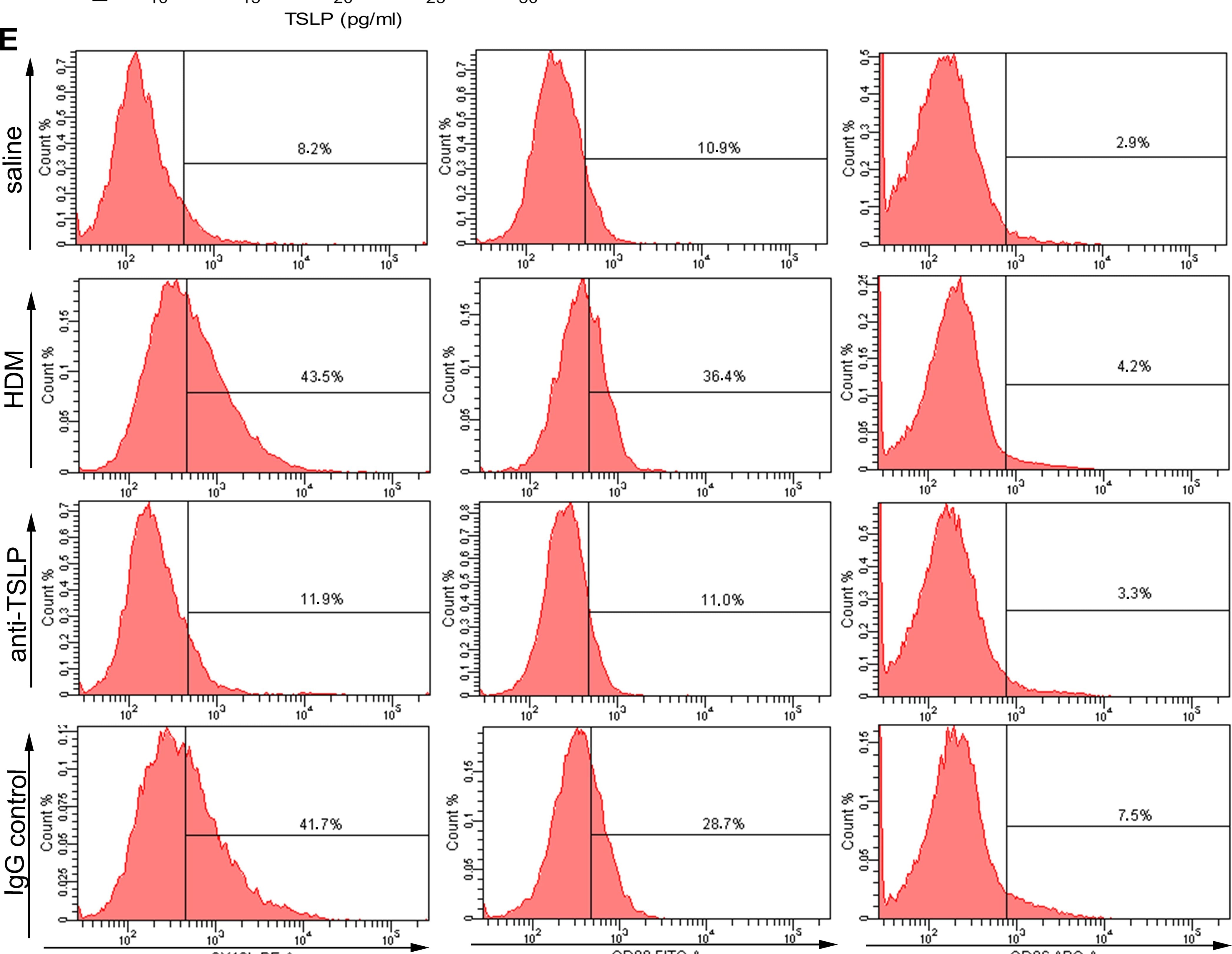 TSLP neutralization inhibits surface marker expression on airway CD11c+ cells.(A) Lung cell suspensions from mice were stained with combinations of PerCP-Cy 5.5-conjugated CD11c, PE-conjugated OX40L, FITC-conjugated CD80 and APC-conjugated CD86. The dead cells and the debris were excluded based on forward scatter (FSC)/side scatter (SSC) plots. (B) A total of 1×105 to 3×105 viable cells were acquired using FACS, and the DCs were then sorted as CD11c+ airway cells on FSC/SSC plots. (C) Mice that were chronically exposed to HDM received an intranasal administration of anti-TSLP mAb or of a control IgG 60 minutes prior to each HDM exposure. The expression levels of OX40L, CD80 and CD86 on pulmonary DCs were then analyzed using flow cytometry. The HDM-exposed mice exhibited a significant increase in the OX40L, CD80 and CD86 surface markers on CD11c+ airway cells. However, anti-TSLP pretreatment effectively reduced OX40L, CD80 and CD86 expression on the DCs, even though the mice were continuously exposed to HDM. (D) The TSLP levels in the BALF were highly correlated with OX40L expression on CD11c+ airway cells in all of the treatment mice (n = 20, R = 0.879, p<0.01). (E) Representative data from one of the five replicates. (F) Staining for OX40L (12-4031), CD80 (11-4888), and CD86 (17-4321) from isotype-Ig-treated controls. The data represent the means±SEM (n = 5). * p<0.05 or ** p<0.01 compared with the HDM group. # p<0.05 or ## p<0.01 compared with the IgG-treated control mice. The results are derived from 4 experimental groups (5 mice/per group), and the data are representative of 5 independent experiment. Image collected and cropped by CiteAb from the following publication (//pubmed.ncbi.nlm.nih.gov/23300949), licensed under a CC-BY license. Not internally tested by R&D Systems.