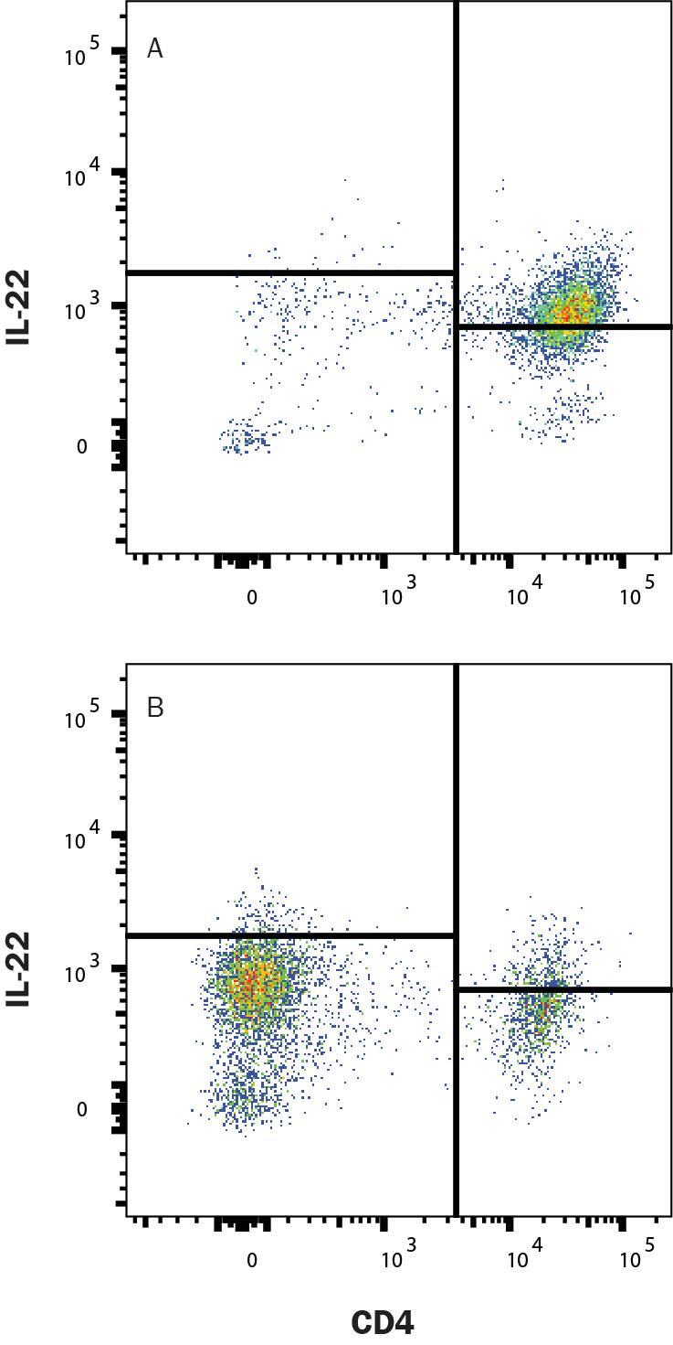 Mouse splenocytes (A) differentiated to Th17 cells with plate-bound Rat anti-Mouse CD3e monoclonal antibody (MAB484, 10 µg/mL) plus Goat anti-Mouse CD28 (AF483, 5 µg/mL), Recombinant Human TGF-beta 1 (100-B, 10 ng/mL) Recombinant Mouse IL-23 (1887-ML, 20 ng/mL), Recombinant Mouse IL-6 (406-ML, 40 ng/mL), Recombinant Mouse IL-1 beta (401-ML, 10 ng/mL), and Rat anti-Mouse IFN-gamma (MAB485, 10 µg/mL) for 6 days then re-stimulated with PMA (50 ng/ml), Ca2+ Ionomycin (200 ng/ml) and Brefeldin A ( 5 μg/ml) for 4 hours, or (B) resting, were stained with APC-conjugated Rat anti-Mouse CD4 Monoclonal Antibody (FAB554A) and Rat Anti-Mouse IL-22 Monoclonal Antibody (Catalog # MAB582) followed by PE-conjugated Goat anti-Rat secondary antibody (F0105B). Quadrant markers were set based on isotype control antibody (MAB006). To facilitate intracellular staining, cells were fixed and permeabilized with FlowX FoxP3/Transcription Factor Fixation & Perm Buffer Kit. (FC012). View our protocol for Staining Intracellular Molecules. 