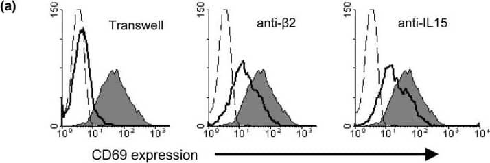 Reciprocal activation between NK&THP-1 cells, the role of IL-15&IFN-gamma . (a) IL-15& beta 2 integrins are involved in the intercellular contact with THP-1 cells that induces the expression of CD69 in natural killer (NK) cells. Peripheral blood lymphocytes (PBL) co-cultured with THP-1 cells (10:1 ratio of PBL to THP-1) for 24 hours in medium alone or in the presence of an anti-beta 2 integrin mAb (Lia3/2) or an anti-IL-15 mAb (MAB647). As a control, both cell lines separated by a 0.4 μm pore transwell. A representative experiment of the five performed is shown. The histograms represent the CD69 expression in CD56+ cells in the medium (grey histogram in all panels) or under the different conditions (solid black line in each panel); a negative control is also shown (dotted histogram in all panels). Image collected & cropped by CiteAb from the following open publication (//arthritis-research.biomedcentral.com/articles/10.1186/ar1955), licensed under a CC-BY license. Not internally tested by R&D Systems.