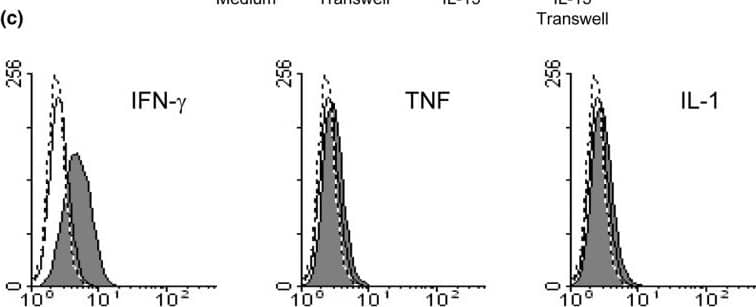 Reciprocal activation between NK&THP-1 cells, the role of IL-15&IFN-gamma . (c) IFN-gamma  increases IL-15 membrane expression in THP-1 cells. Cells incubated with IFN-gamma  (100 ng/ml), TNF (100 ng/ml) or IL-1 (100 ng/ml) for 24 hours&then the membrane-bound IL-15 (mIL-15) was measured by indirect immunofluorescence&flow cytometry. A representative experiment of the five performed is shown. Grey histograms represent mIL-15 on stimulated THP-1 cells, solid-line histograms represent basal mIL-15 expression,&the dotted-line histogram is the negative control. Image collected & cropped by CiteAb from the following open publication (//arthritis-research.biomedcentral.com/articles/10.1186/ar1955), licensed under a CC-BY license. Not internally tested by R&D Systems.