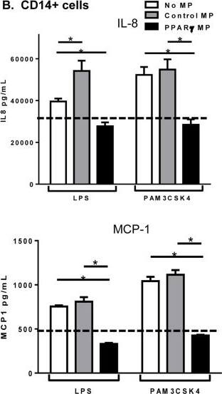 <b>Biological Strategies Validation. </b>Microparticle composition influences inflammatory cytokine production from activated monocytes.THP-1 cells (A) or CD14 sorted blood monocytes (B) were treated with control microparticles (grey bars) or PPAR gamma -overexpressing microparticles (black bars) or no microparticles (white bars) for 4 hours before activation with LPS or PAM3CSK4 for 24 hours. Supernatants were collected and pro-inflammatory cytokines IL-8 (top), MCP-1 (bottom) were measured by ELISA. Dotted line represents baseline cytokine production from unactivated cells with no microparticle exposure. Mean values with standard errors represent one of at least 3 experiments. Two-way ANOVA with Tukey's multiple comparison post test was performed to determine statistical significance. * indicates (p<0.05). Image collected and cropped by CiteAb from the following publication (//pubmed.ncbi.nlm.nih.gov/25426628), licensed under a CC-BY license. Not internally tested by R&D Systems.