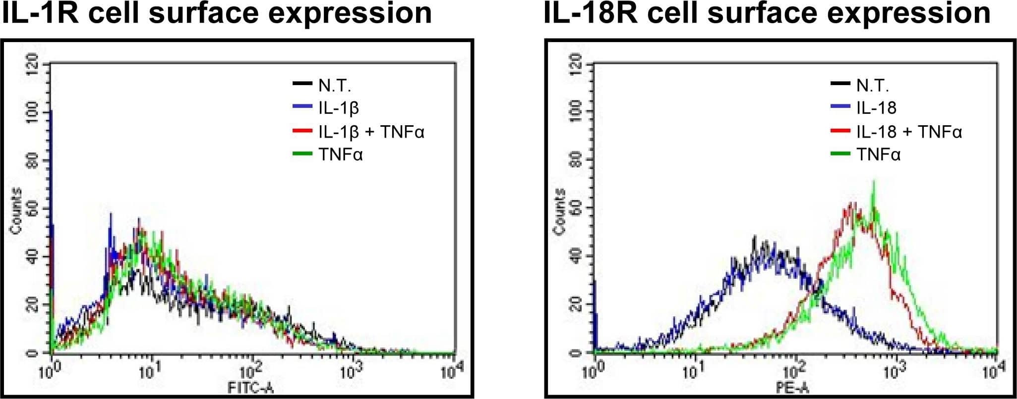 Effect of TNF alpha  treatment on KG-1 IL-18R and IL-1R surface expression.KG-1 cells (106/ml) were incubated with the indicated combinations of rIL-1 beta , rIL-18, rTNF alpha  (10 ng/ml each) for 24 h. Cells were stained with IL-18R-PE and IL-1R-FITC followed by flow cytometry analysis. Results are representative of 3 separate experiments. Image collected and cropped by CiteAb from the following open publication (//pubmed.ncbi.nlm.nih.gov/19707556), licensed under a CC-BY license. Not internally tested by R&D Systems.