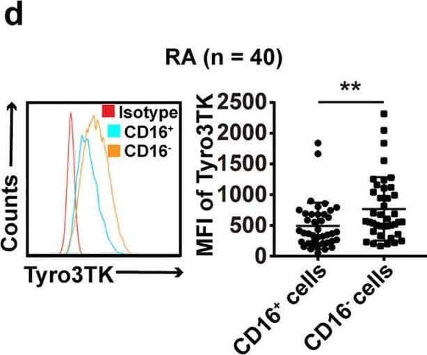 The expression of Tyro3TK on CD14+CD16− monocytes is increased in RA. a Gating strategy for identifying the expression of Tyro3TK on CD14+CD16+ and CD14+CD16− monocytes. Accordingly, the expression of Tyro3TK on CD14+CD16+ and CD14+CD16− monocytes in HC (n = 40) (b), OA (n = 28) (c), and RA patients (n = 40, **P = 0.008) (d) were analyzed and presented as the mean fluorescence intensity (MFI). e The expression of Tyro3TK on CD14+CD16+ monocytes were compared between HC, OA, and RA patients. f The expression of Tyro3TK on CD14+CD16− monocytes were compared between HC, OA, and RA patients (**P = 0.004, ***P < 0.001). g Flow cytometry-sorted CD14+CD16− monocytes from RA (n = 4) and HC (n = 4) were set to detect the mRNA expression of Tyro3TK by qPCR (*P = 0.029). *P < 0.05, **P < 0.01, ***P < 0.001; ns, not significant (Mann-Whitney U test, b, d, and g; Student’s t test, c; Kruskal-Wallis test followed by Dunn’s post-test for multiple comparisons, e–f) Image collected and cropped by CiteAb from the following open publication (//pubmed.ncbi.nlm.nih.gov/32958023), licensed under a CC-BY license. Not internally tested by R&D Systems.