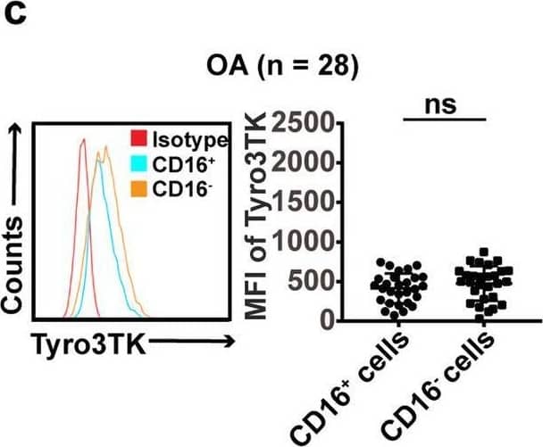 The expression of Tyro3TK on CD14+CD16− monocytes is increased in RA. a Gating strategy for identifying the expression of Tyro3TK on CD14+CD16+ and CD14+CD16− monocytes. Accordingly, the expression of Tyro3TK on CD14+CD16+ and CD14+CD16− monocytes in HC (n = 40) (b), OA (n = 28) (c), and RA patients (n = 40, **P = 0.008) (d) were analyzed and presented as the mean fluorescence intensity (MFI). e The expression of Tyro3TK on CD14+CD16+ monocytes were compared between HC, OA, and RA patients. f The expression of Tyro3TK on CD14+CD16− monocytes were compared between HC, OA, and RA patients (**P = 0.004, ***P < 0.001). g Flow cytometry-sorted CD14+CD16− monocytes from RA (n = 4) and HC (n = 4) were set to detect the mRNA expression of Tyro3TK by qPCR (*P = 0.029). *P < 0.05, **P < 0.01, ***P < 0.001; ns, not significant (Mann-Whitney U test, b, d, and g; Student’s t test, c; Kruskal-Wallis test followed by Dunn’s post-test for multiple comparisons, e–f) Image collected and cropped by CiteAb from the following open publication (//pubmed.ncbi.nlm.nih.gov/32958023), licensed under a CC-BY license. Not internally tested by R&D Systems.