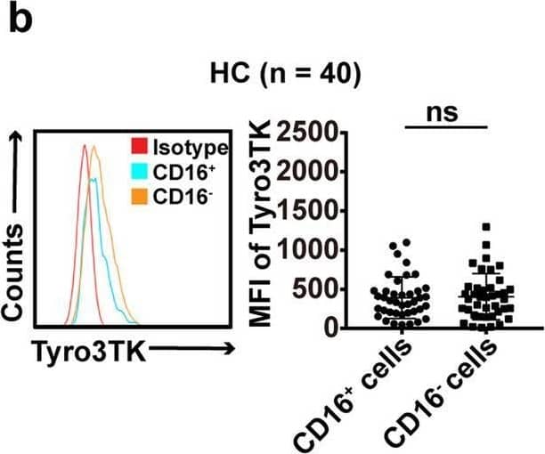 The expression of Tyro3TK on CD14+CD16− monocytes is increased in RA. a Gating strategy for identifying the expression of Tyro3TK on CD14+CD16+ and CD14+CD16− monocytes. Accordingly, the expression of Tyro3TK on CD14+CD16+ and CD14+CD16− monocytes in HC (n = 40) (b), OA (n = 28) (c), and RA patients (n = 40, **P = 0.008) (d) were analyzed and presented as the mean fluorescence intensity (MFI). e The expression of Tyro3TK on CD14+CD16+ monocytes were compared between HC, OA, and RA patients. f The expression of Tyro3TK on CD14+CD16− monocytes were compared between HC, OA, and RA patients (**P = 0.004, ***P < 0.001). g Flow cytometry-sorted CD14+CD16− monocytes from RA (n = 4) and HC (n = 4) were set to detect the mRNA expression of Tyro3TK by qPCR (*P = 0.029). *P < 0.05, **P < 0.01, ***P < 0.001; ns, not significant (Mann-Whitney U test, b, d, and g; Student’s t test, c; Kruskal-Wallis test followed by Dunn’s post-test for multiple comparisons, e–f) Image collected and cropped by CiteAb from the following open publication (//pubmed.ncbi.nlm.nih.gov/32958023), licensed under a CC-BY license. Not internally tested by R&D Systems.