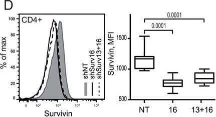 Survivin positive subset of CD44hi CD4 lymphocytes in mouse possess a complete phenotype of Tfh cells Spleen and lymph nodes from collagen II immunized arthritic (CIA) mice were analyzed for expression of survivin and Bcl-6 using flow cytometry A. Cells were gated on memory CD44hiCD4+ lymphocytes. Expression of CXCR5 B. and PD-1 C. was investigated within Bcl-6+ survivin+ and Bcl-6− survivin+ cells. Dots represent individual mice and the horizontal line shows median of the group. Survivin translation in CIA mice was inhibited by shRNA-producing constructs provided as a single intra-peritoneal injection (shSurv16, n = 10, or shSurv13+16, n = 10). Control mice were treated with a non-targeting RNA construct (shNT, n = 9). Survivin expression in spleen was analyzed by flow cytometry 12 days after the injection. Cells were gated on CD4+ lymphocytes. Intensity of survivin expression (MFI) within the groups is shown by a representative histogram and summarized in a box plot D. Survivin expression (MFI) on CD4 lymphocytes correlated to the size of CD44hiCD62L+ population E. Expression of CXCR5 on CD44hiCD4+ lymphocytes in the groups is shown as box plot F. CXCR5+ population correlates with the intensity of survivin G. and with Bcl-6 mRNA H. Boxes and lines represent IQR and median, respectively, and error lines indicate min and max values. The Mann-Whitney U-test was used to compare differences between groups. Correlation analyses were performed using Spearman's test. Image collected and cropped by CiteAb from the following open publication (//pubmed.ncbi.nlm.nih.gov/26343374), licensed under a CC-BY license. Not internally tested by R&D Systems.