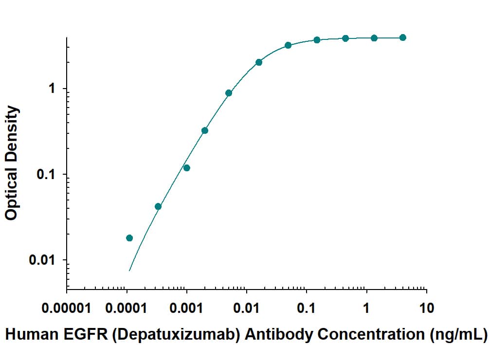 Direct ELISA binding curve demonstrating the recognition of Human Anti-Human EGFR F(ab')2 (Research Grade Depatuxizumab Biosimilar) Monoclonal Antibody (Catalog # MAB9583) to EGFR. The target protein was coated onto the microplate well surface, followed by binding of the antibody. A goat anti-human HRP conjugate was used for detection.