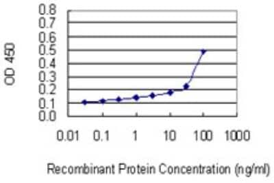 Sandwich ELISA mitochondrial ribosomal protein L4 Antibody (4B1) - Azide and BSA Free