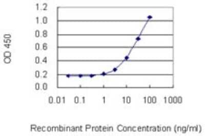 Sandwich ELISA: mtRNA polymerase Antibody (2H7) [H00005442-M04] - Detection limit for recombinant GST tagged POLRMT is 0.3 ng/ml as a capture antibody.