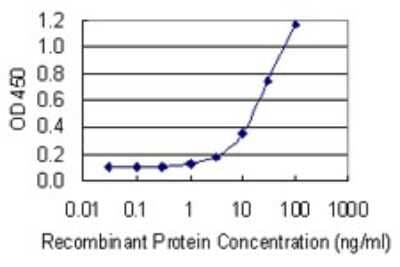 Sandwich ELISA: mtRNA polymerase Antibody (3D9) [H00005442-M01] - Detection limit for recombinant GST tagged POLRMT is 0.3 ng/ml as a capture antibody.