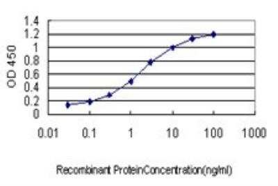 ELISA: mu Crystallin Antibody (6B3) [H00001428-M03] - Detection limit for recombinant GST tagged CRYM is approximately 0.03ng/ml as a capture antibody.