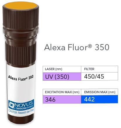 Desmoglein-3 Antibody (5G11) [Alexa Fluor® 350] [NB100-1643AF350] - Vial of Alexa Fluor 350 conjugated antibody. Alexa Fluor 350 is optimally excited at 346 nm by the UV laser (350 or 355 nm) and has an emission maximum of 442 nm. 