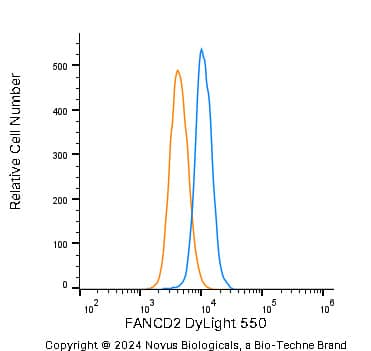 An intracellular stain was performed on A431 human skin carcinoma cell line using Rabbit anti-FANCD2 Affinity Purified Polyclonal Antibody conjugated to DyLight 550 (Catalog # NB100-182R, blue histogram) or matched control antibody (Catalog # NBP2-24981R, orange histogram) at 2.5 µg/mL for 30 minutes at RT.