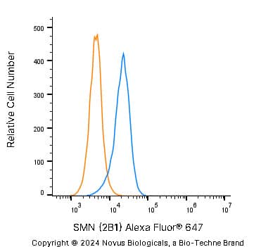 An intracellular stain was performed on A431 human skin carcinoma cell line using Mouse anti- SMN (2B1) Protein-G purified Monoclonal Antibody conjugated to Alexa Fluor® 647 (Catalog # NB100-1936AF647, blue histogram) or matched control antibody (orange histogram) at 2.5 µg/mL for 30 minutes at RT.   