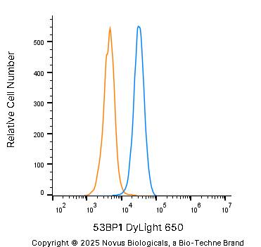 An intracellular stain was performed on U-2 OS human osteosarcoma cell line with Rabbit anti-53BP1 Affinity Purified Polyclonal Antibody conjugated to DyLight 650 (Catalog # NB100-304C, blue histogram) or matched control antibody (Catalog # NBP2-24981C, orange histogram) at 2.5 µg/mL for 30 minutes at RT. 