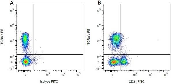Flow Cytometry: CD31/PECAM-1 Antibody (TLD-3A12) [FITC] -  [NB100-63703] - Figure A. RPE conjugated mouse anti rat TCRa/b and FITC conjugated mouse IgG1 isotype control Figure B. and FITC conjugated mouse anti rat CD31. All experiments performed on red cell lysed rat blood gated on mononuclear cells. 