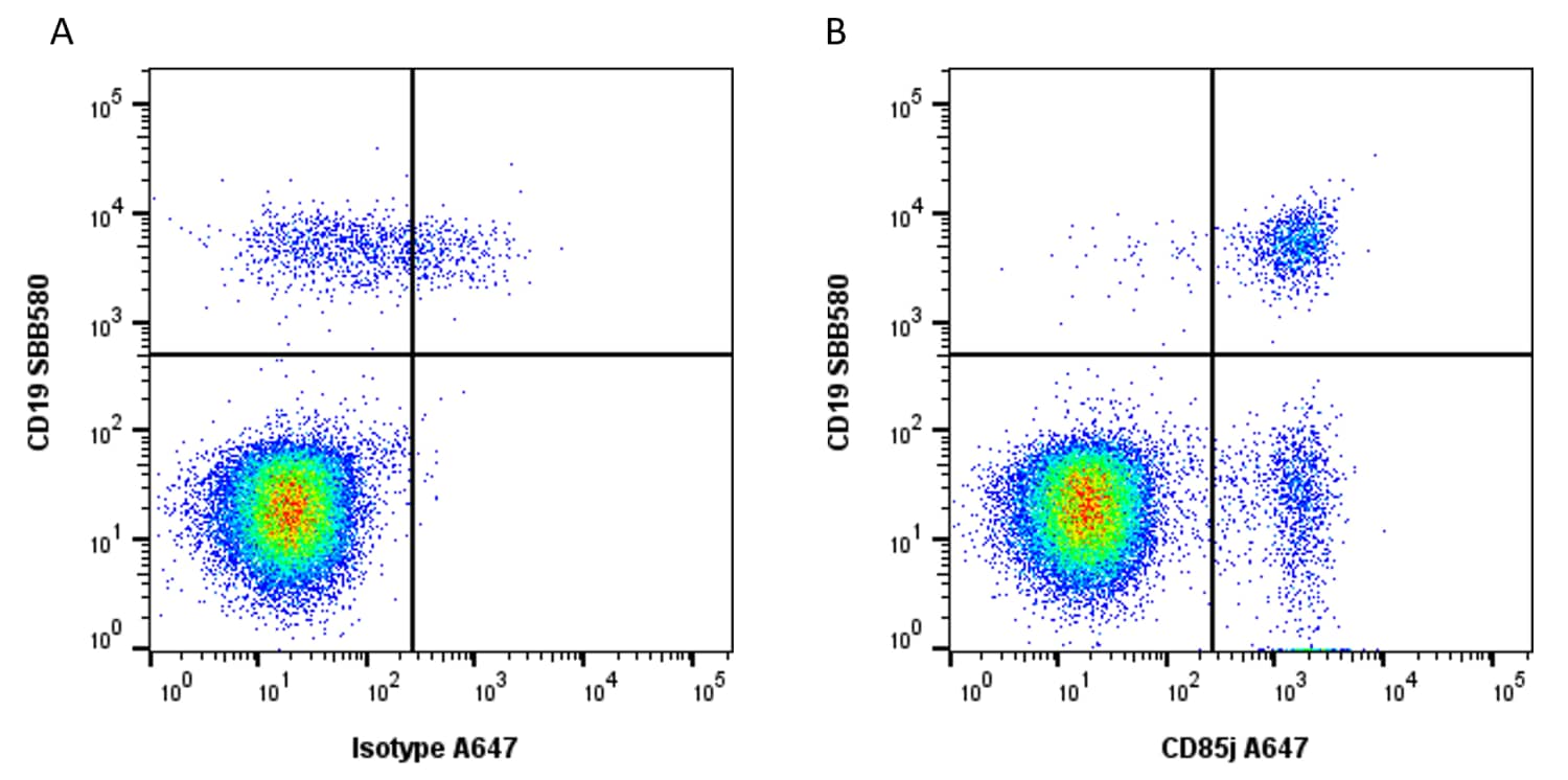 Flow Cytometry: ILT5/CD85a/LILRB3 Antibody (4F9) [NB100-64329] - Figure A. StarBright Blue 580 conjugated Mouse anti Human CD19 and Alexa Fluor 647 conjugated Mouse IgG1 isotype control. Figure B. StarBright Blue 580 conjugated Mouse anti Human CD1 and Alexa Fluor 647 conjugated Mouse anti Human CD85j. All experiments performed on red cell lysed human blood gated on single cell lymphocytes, in the presence of 10% human serum. Data acquired on the ZE5 Cell Analyzer. 